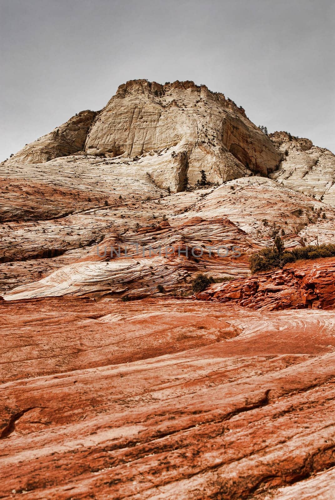 Zion national park southern Utah USA