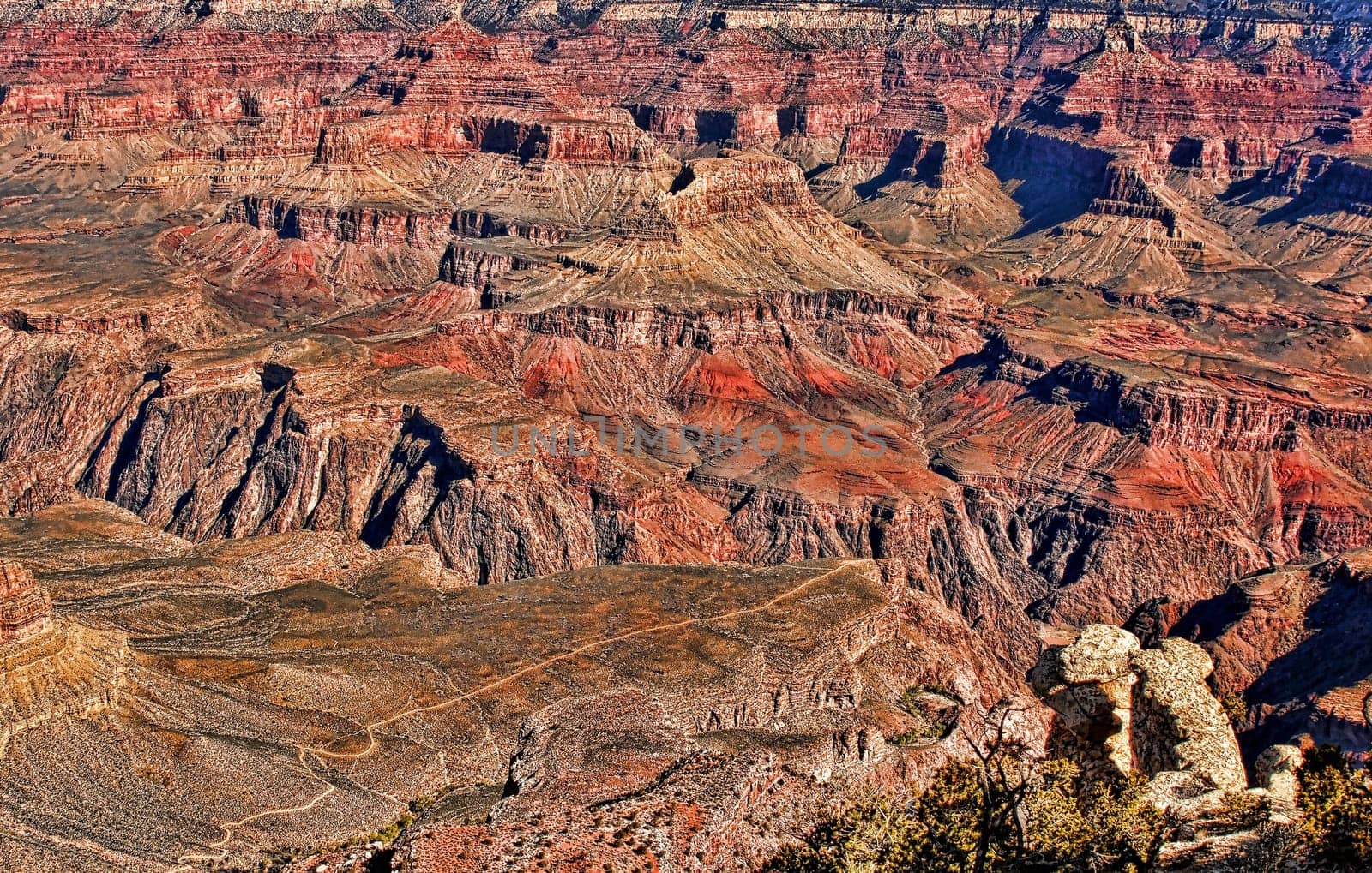 Early morning in the Grand Canyon Arizona