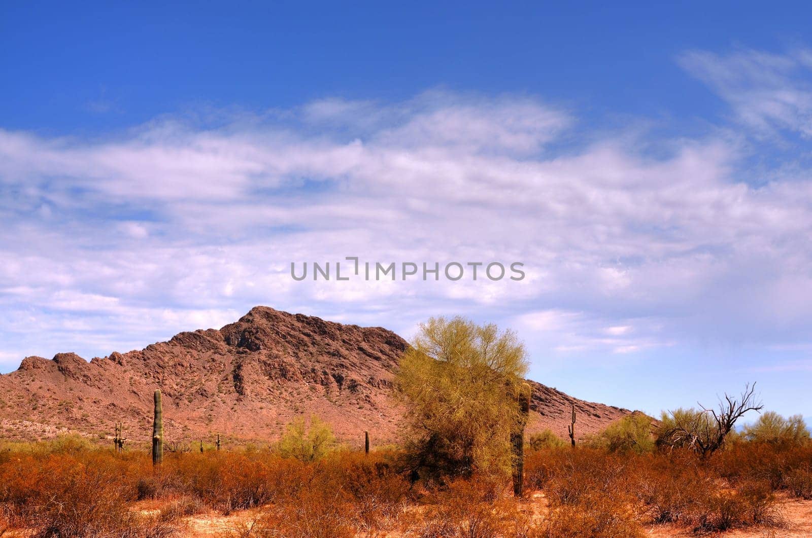 Arizona desert mountain in the spring