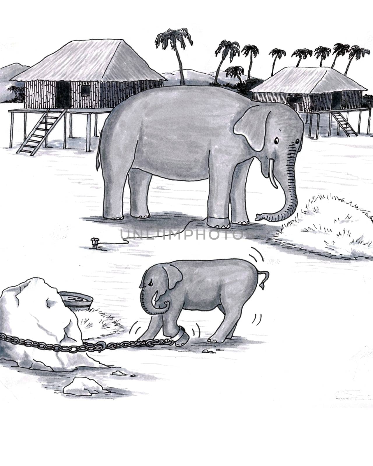 Older and younger pachyderm  baby attached to heavy chain, adult trained to stay with just rope.
