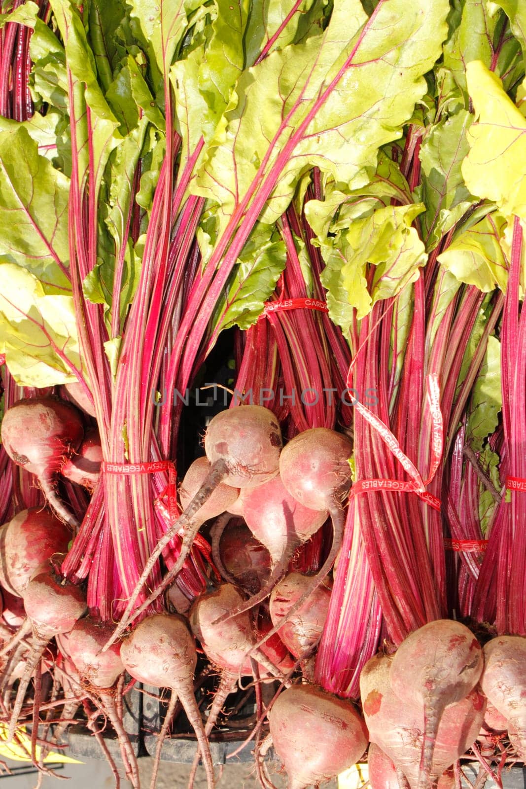 Many red beets with green tops in the sun at an outdoor farmers market.