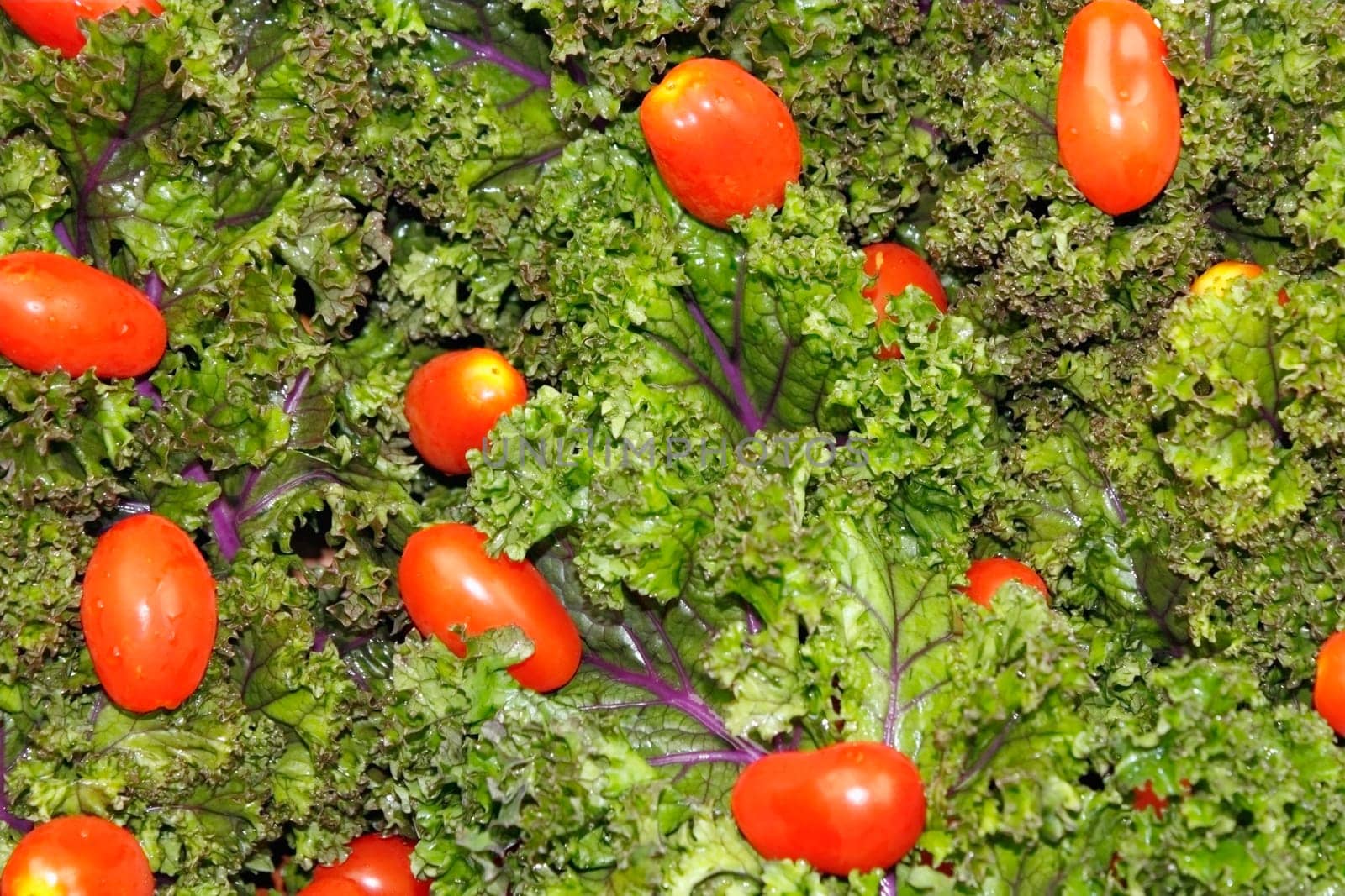Close up of red purple green kale topped and small cherry tomatoes.