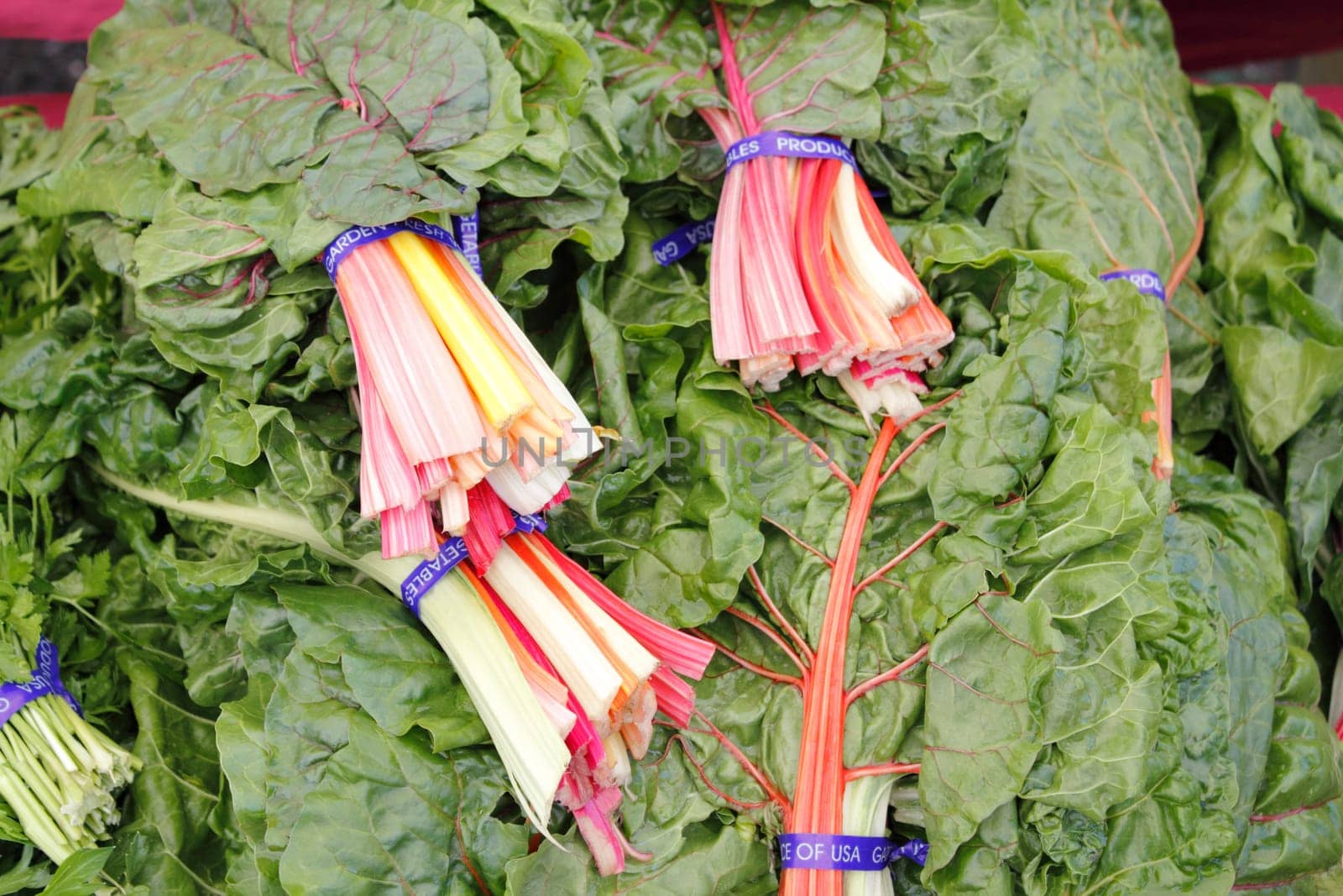 Bundles of swiss chard in red, orange, yellow, white, green stalks on display at a market.