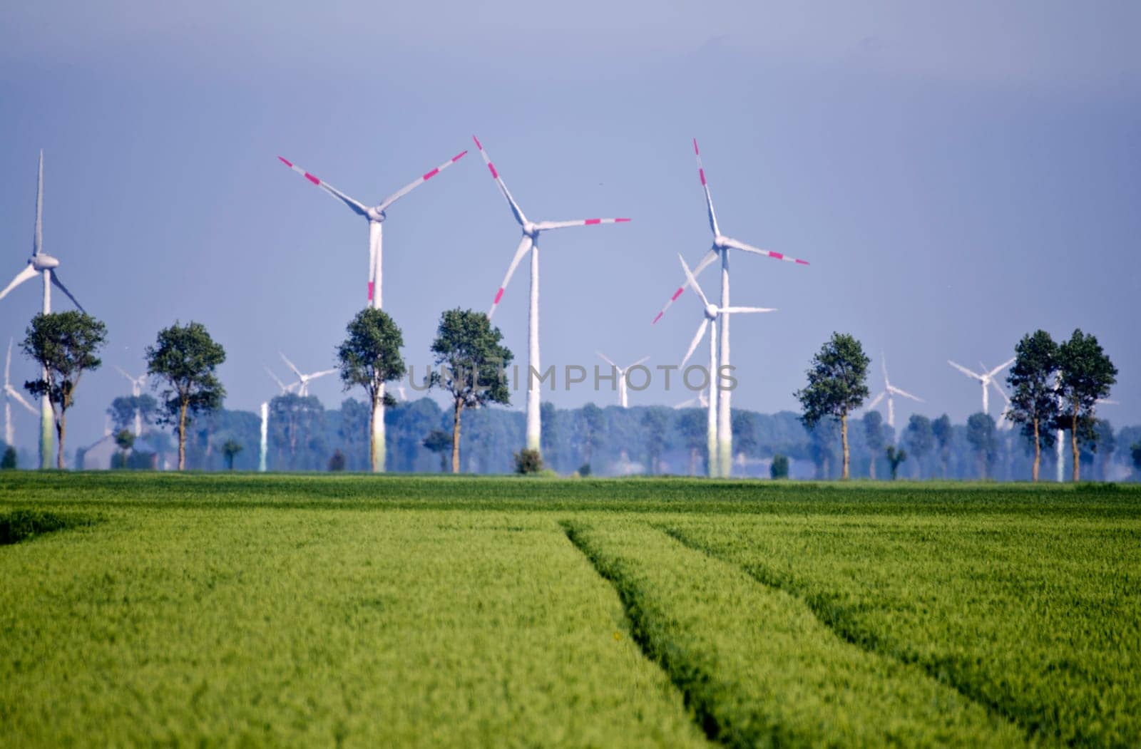 crop fields with wind power stations in the background