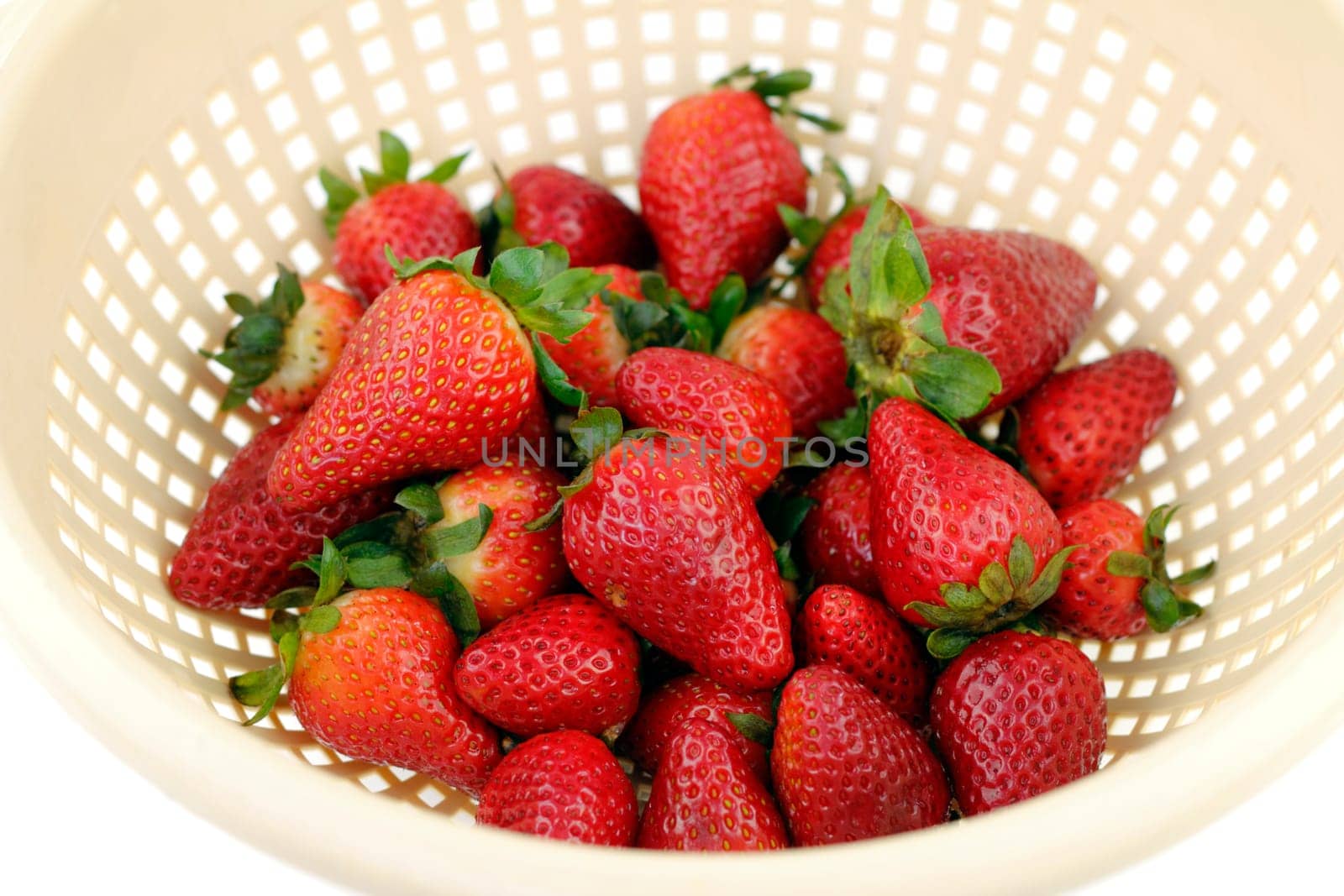 Fresh organic strawberries drain in a colander after being washed.