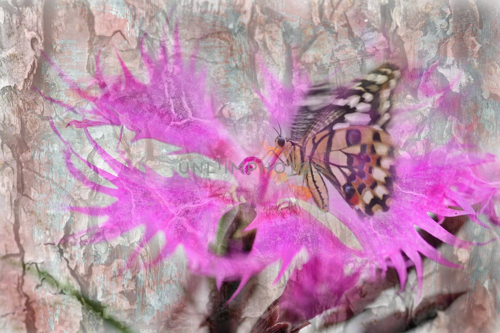 Background image with butterfly