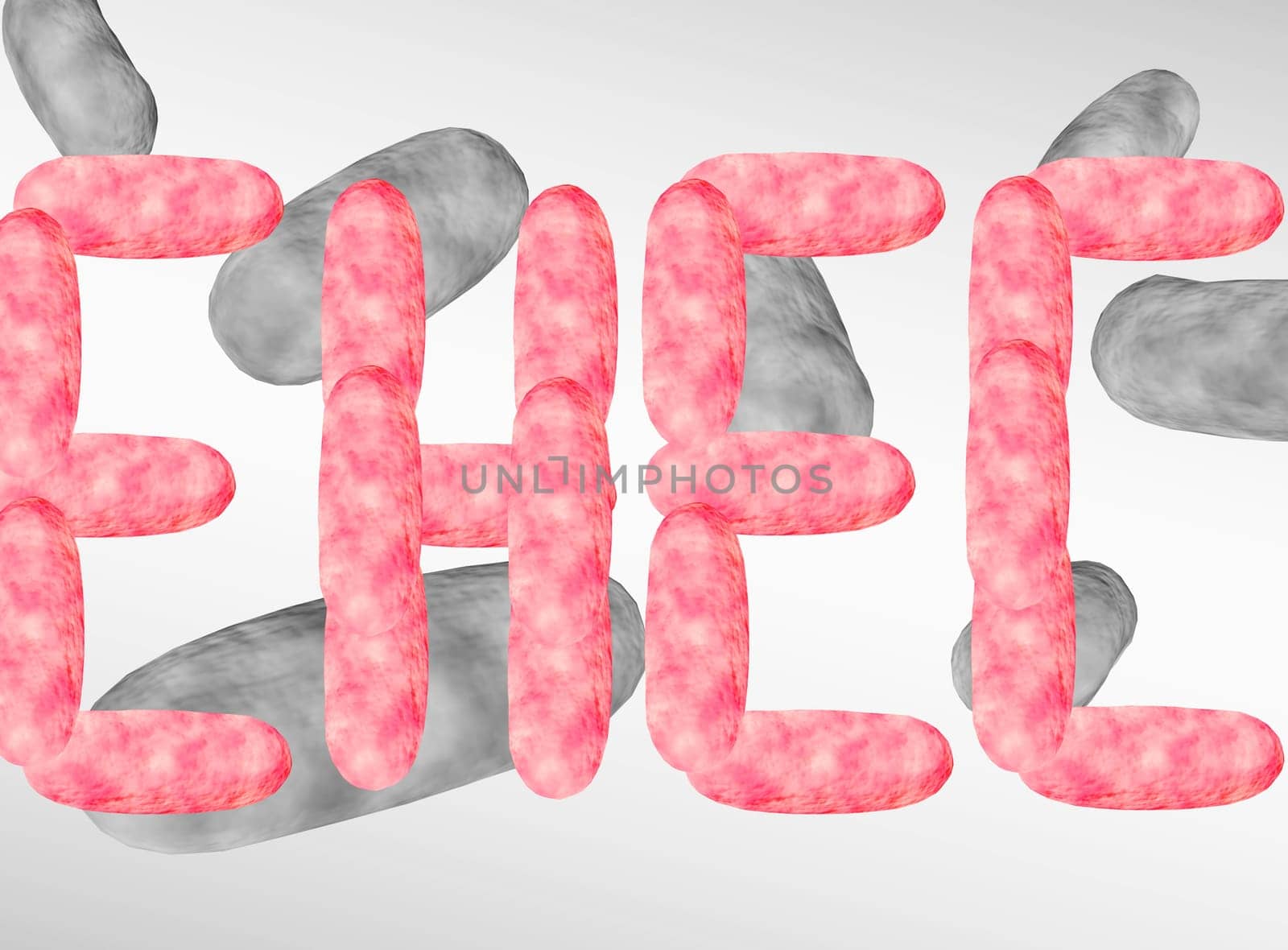 bacteria