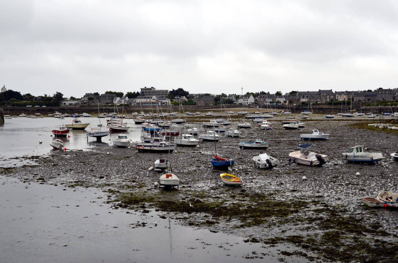 Low tide in the harbor of Roscoff boats