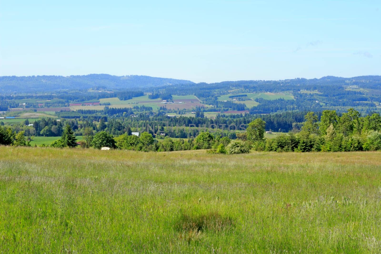 Morning springtime landscape scenery of a long and wide valley with distant country farms and woodlands.
