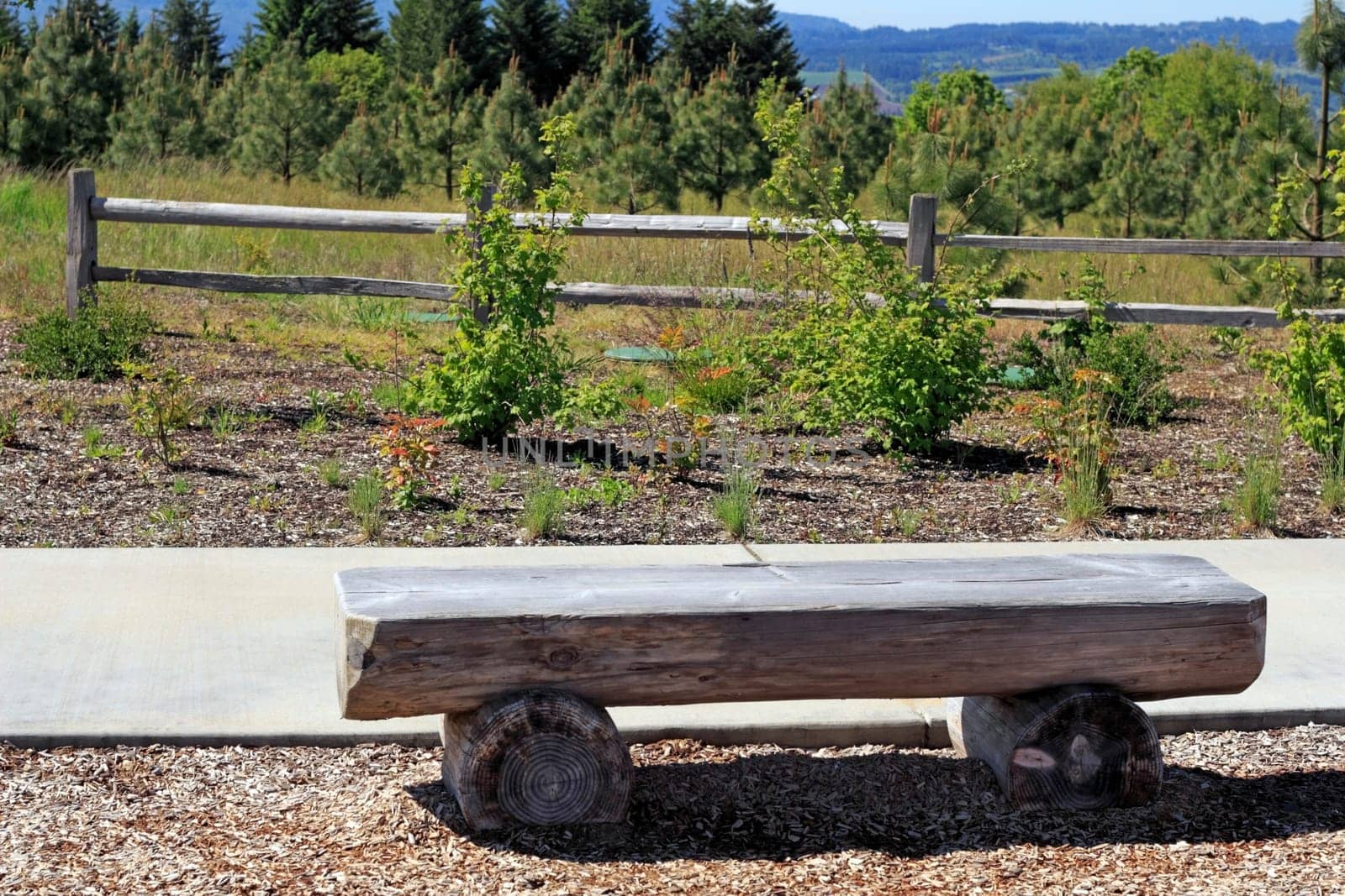 Weathered flat seating made out of an old tree trunk in a rural park with a view.