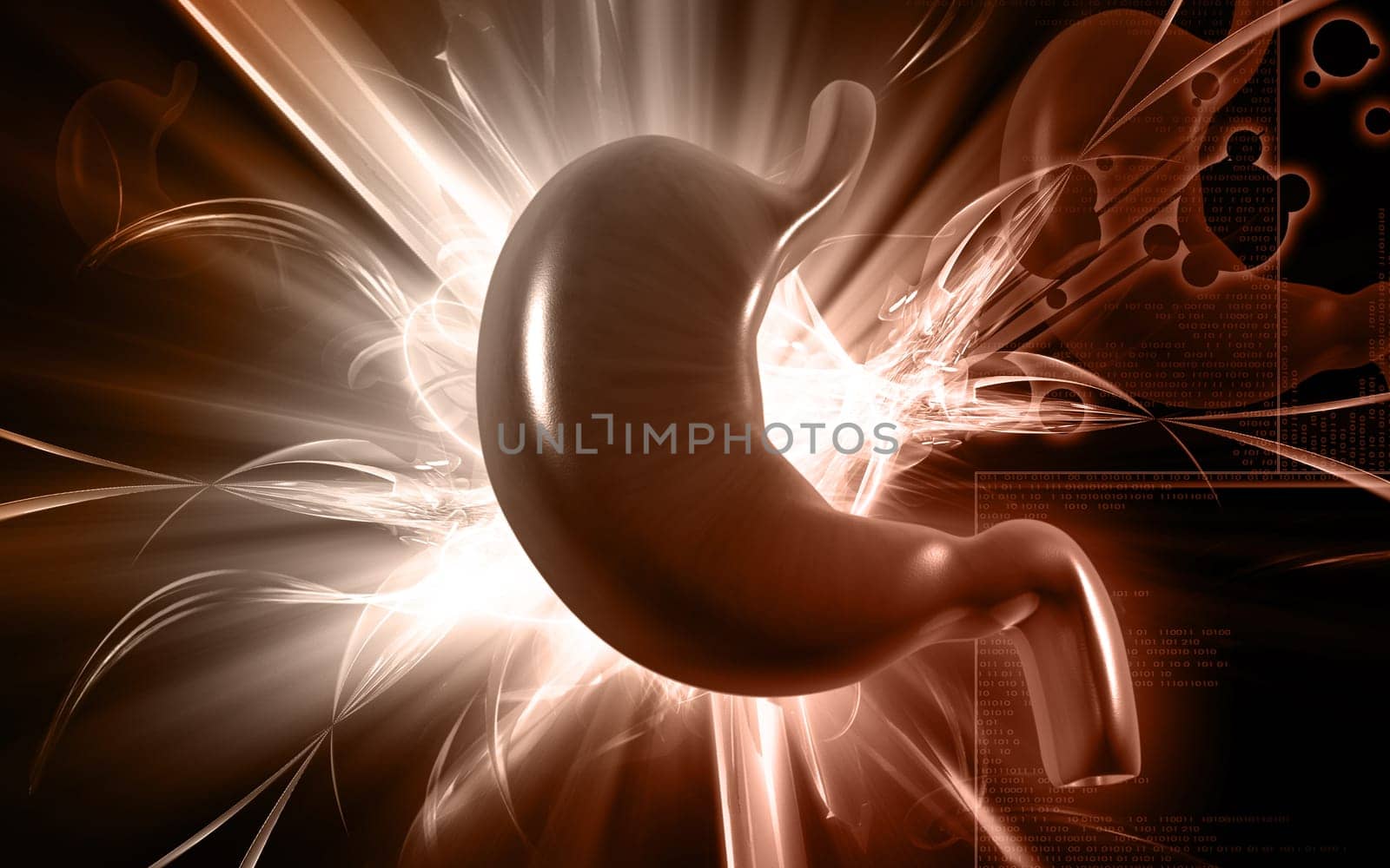 Digital illustration of stomach in colour background
