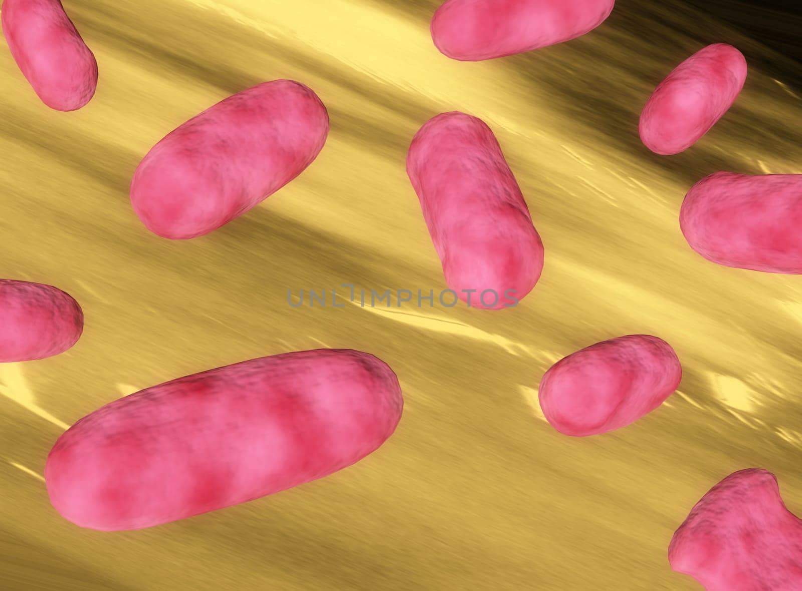 bacteria
