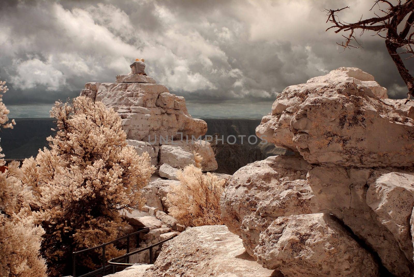 Lovers viewing the Grand Canyon from a rock
