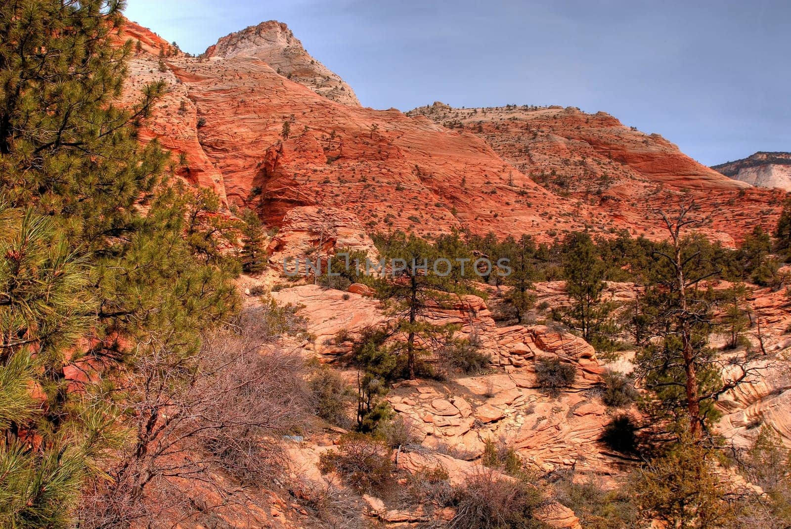 Zion National Park in Utah western United States