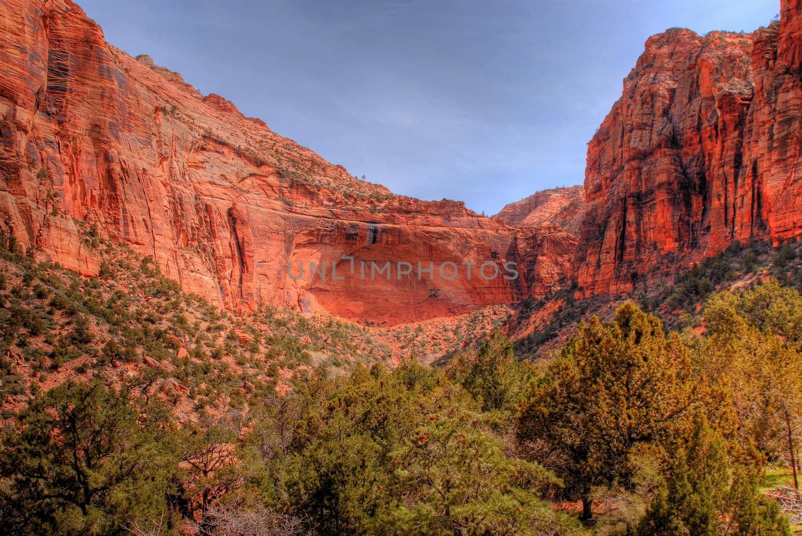 Zion National Park in Utah western United States