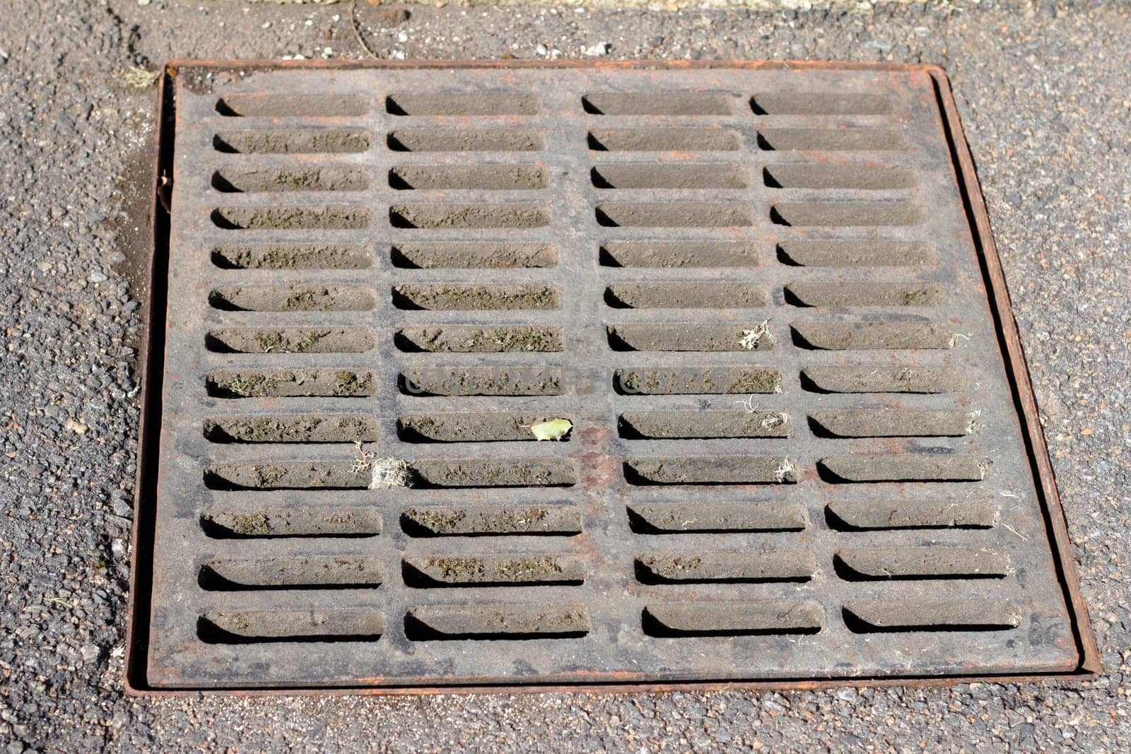 Sewer grate that drains water from a parking lot.