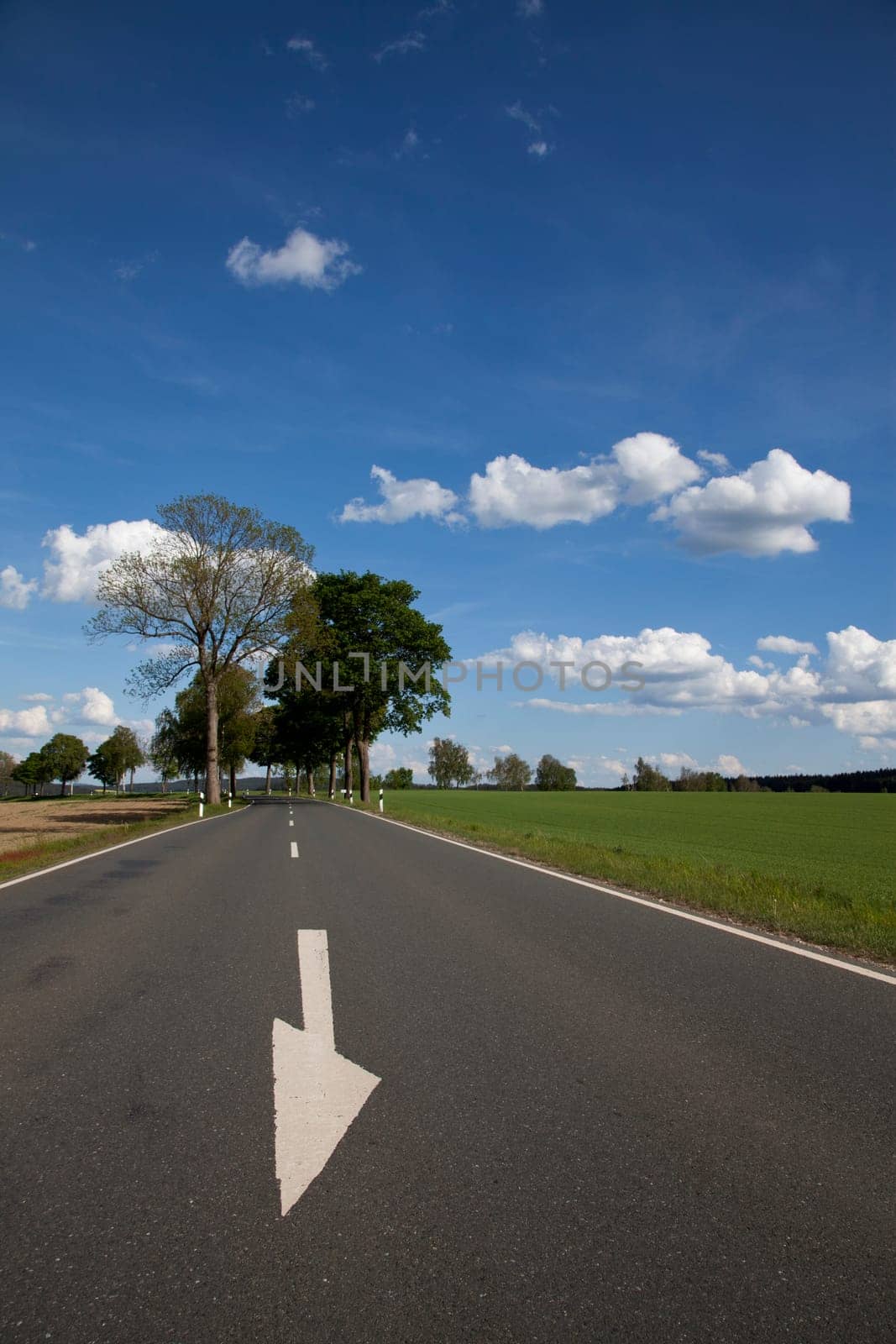 Country road with trees and arrow