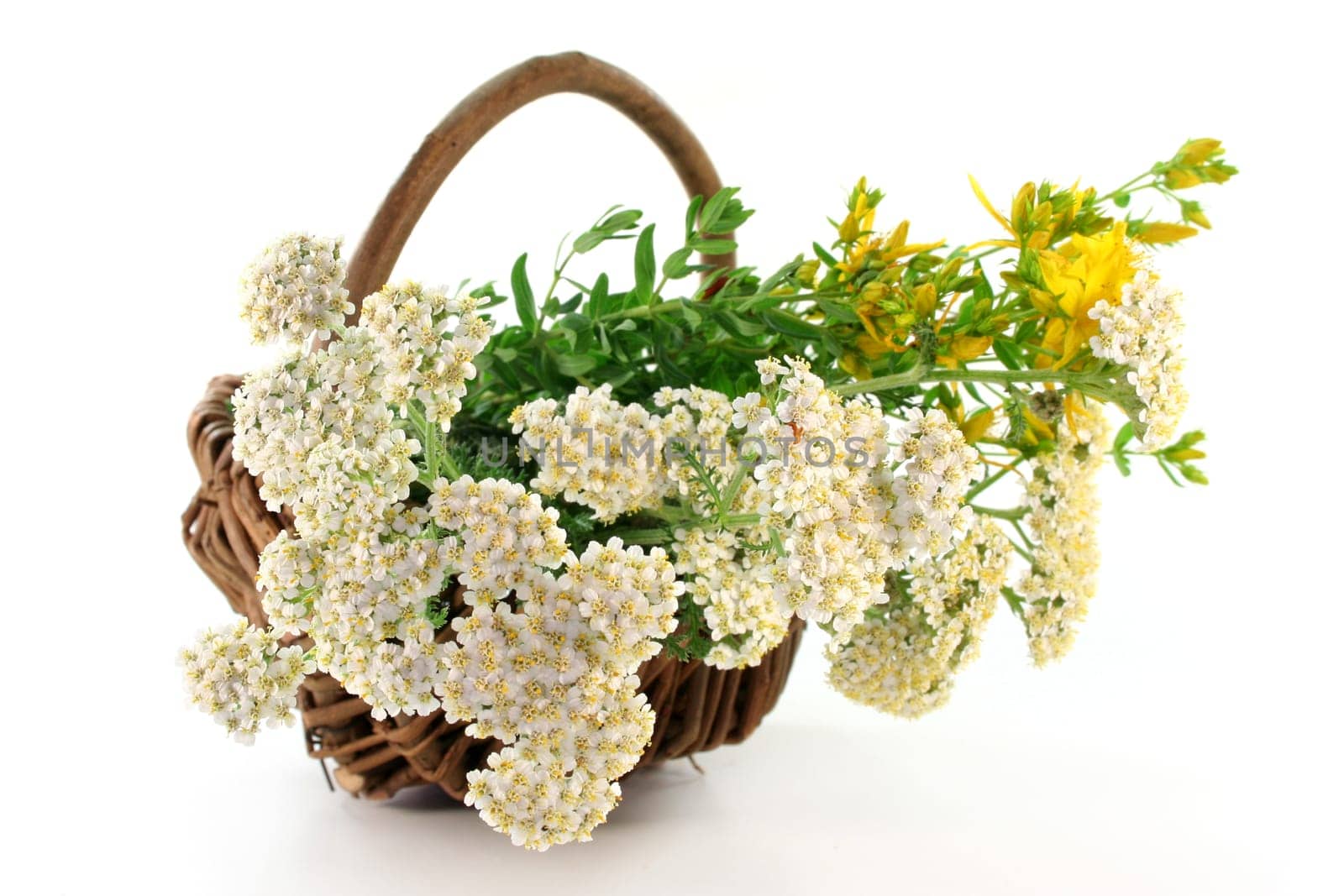 Yarrow and St. John's wort in a basket