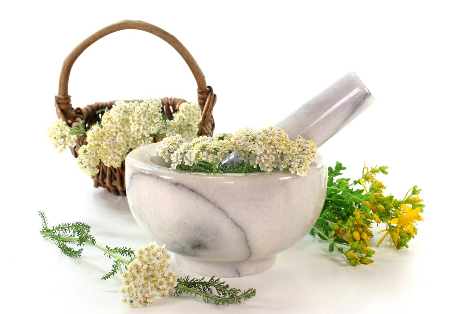fresh yarrow and St. John's wort in a mortar