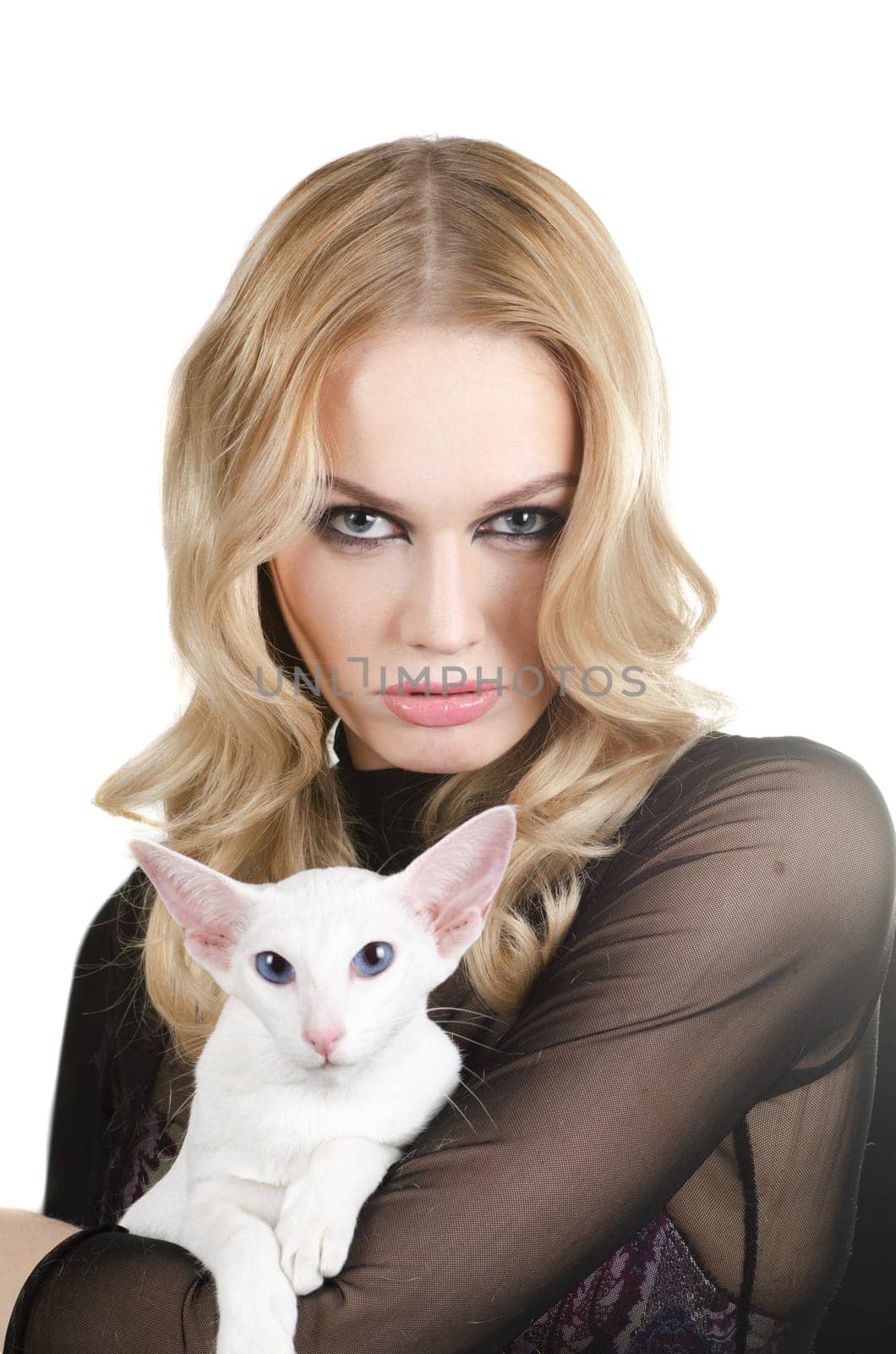 beauty young blond woman with oriental shorthair cat on a white