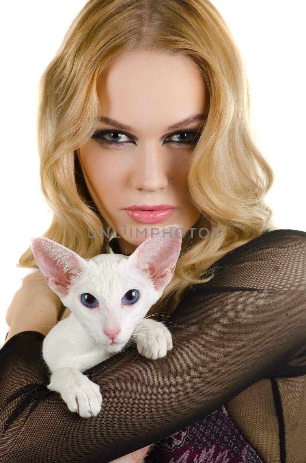 beauty young blond woman with oriental shorthair cat on a white