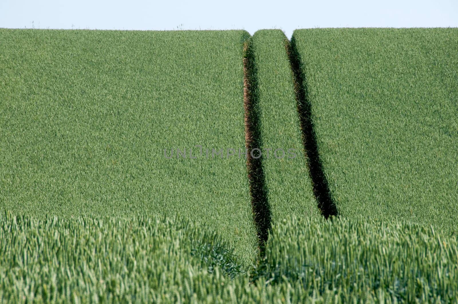 Tractor tracks