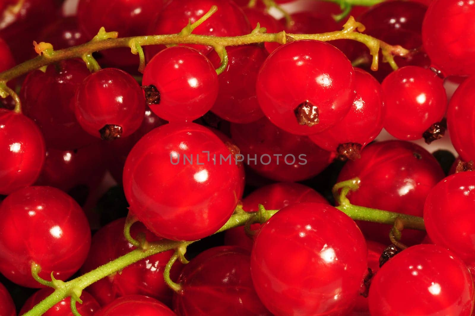 Johannisbeeren - Currants