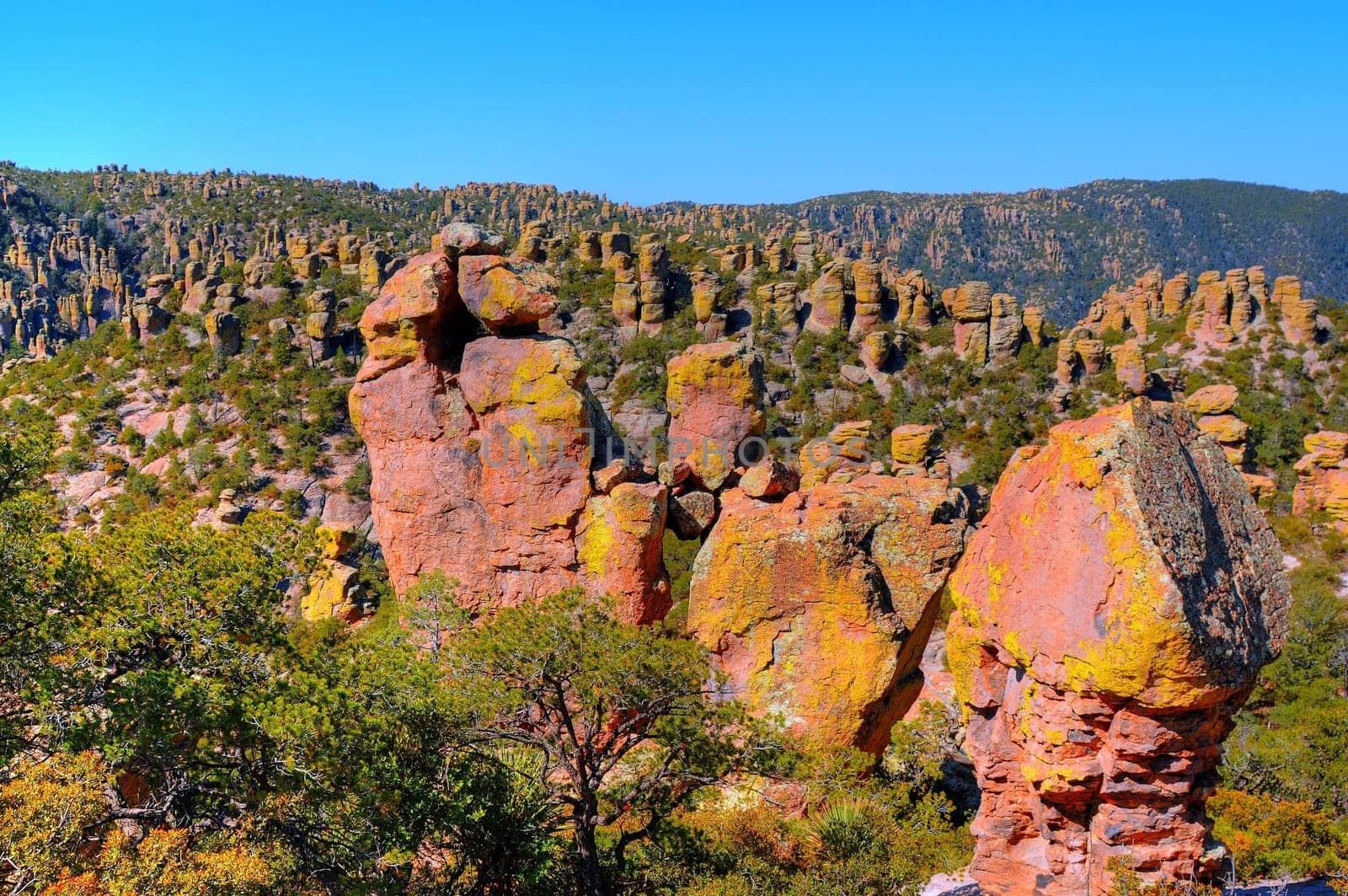 Southeast Arizona, Chiricahua National Monument in spring