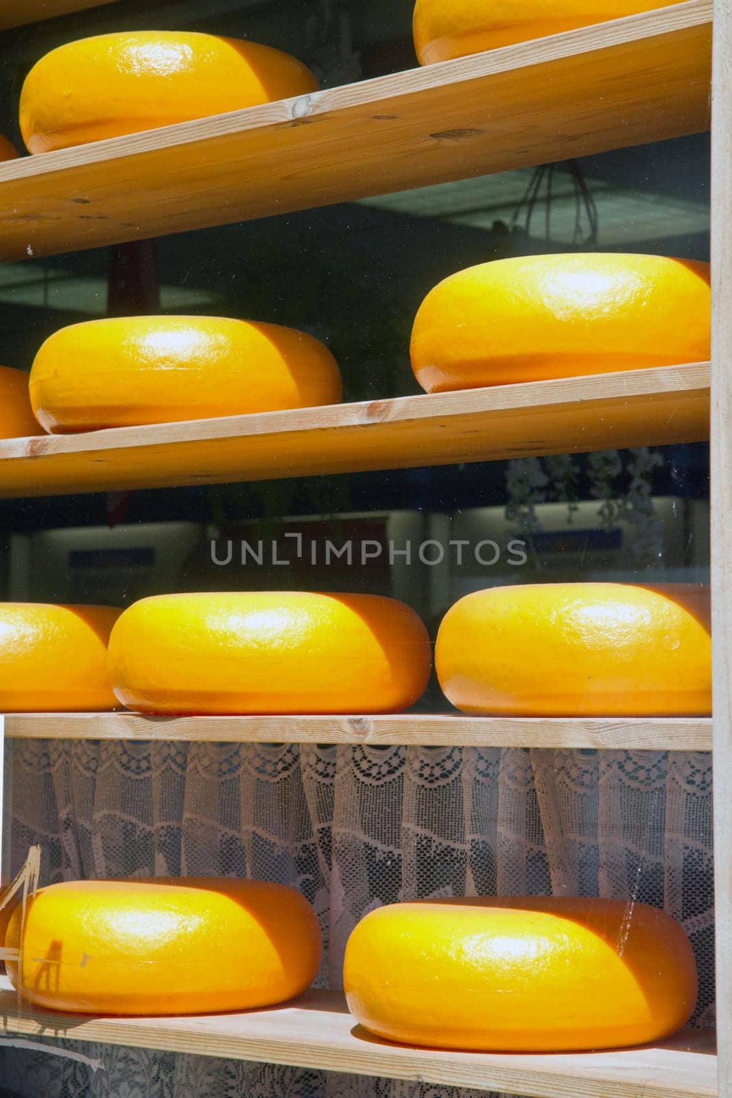 Cheese rack in refining in Gouda