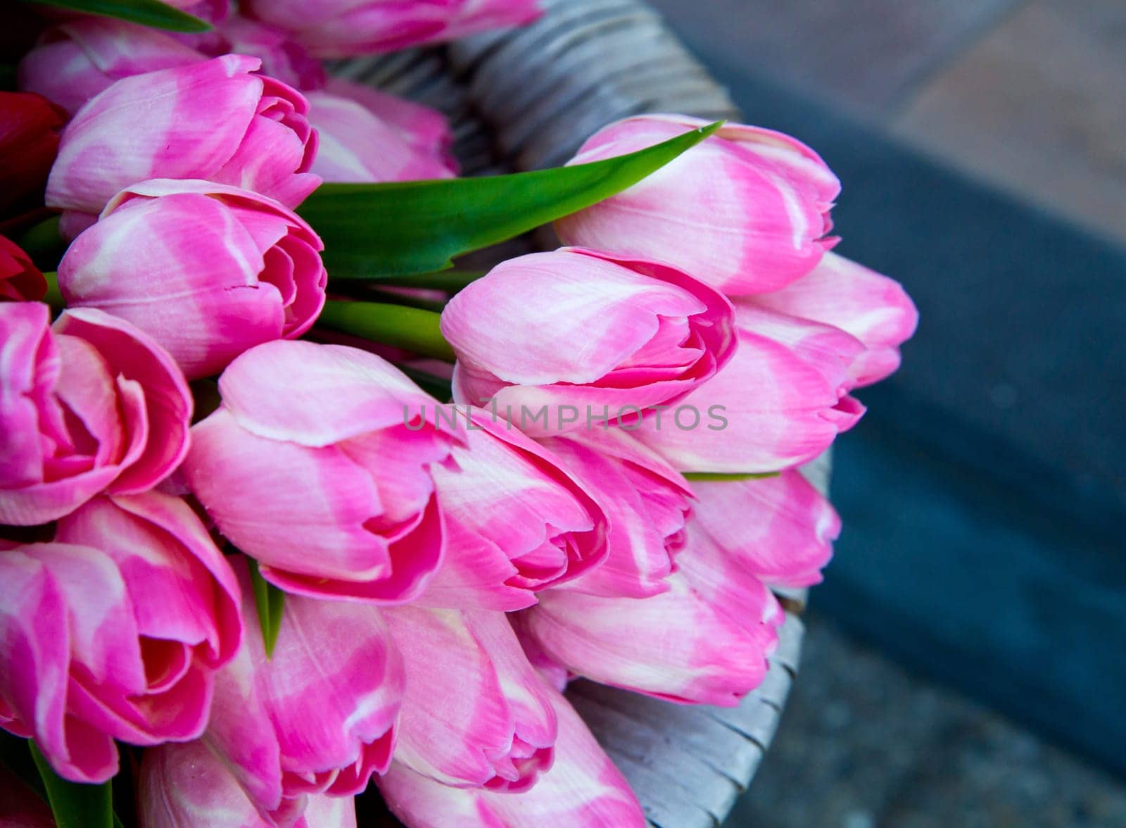 tulip in basket in flower shop