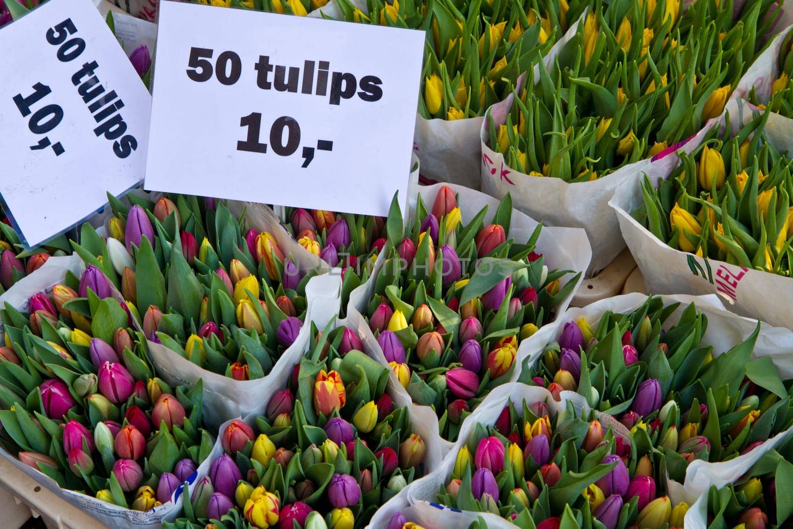 Detail of Amsterdam flowers market