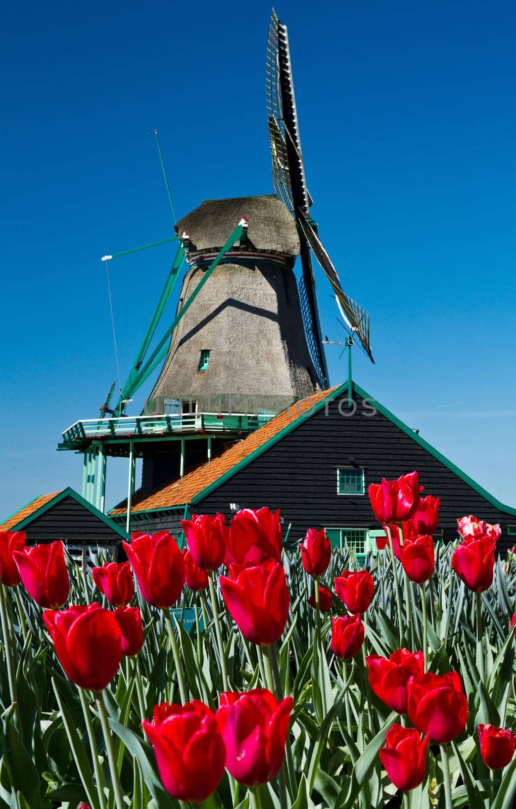 Photo of windmill in Holland with blue sky