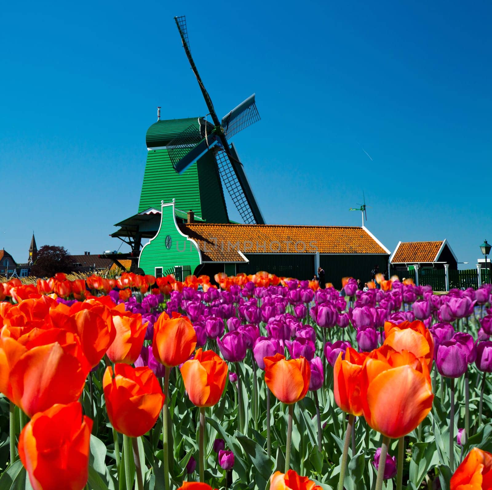 Photo of windmill in Holland with blue sky