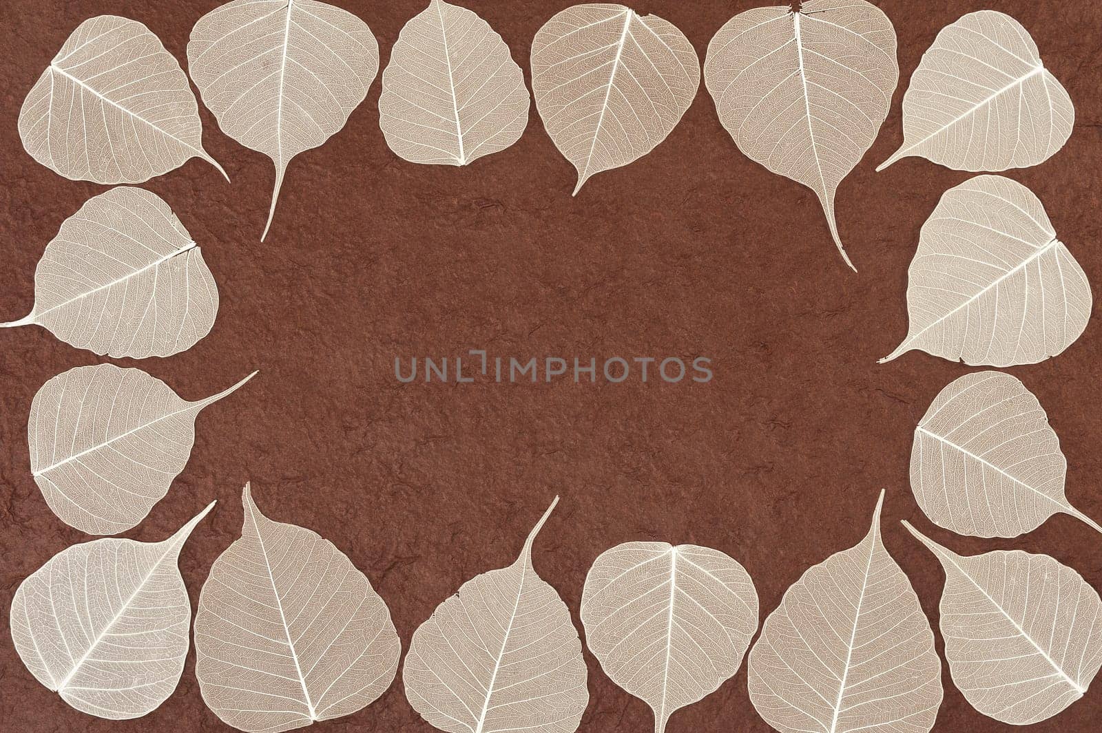 Skeletal leaves over brown handmade paper - frame