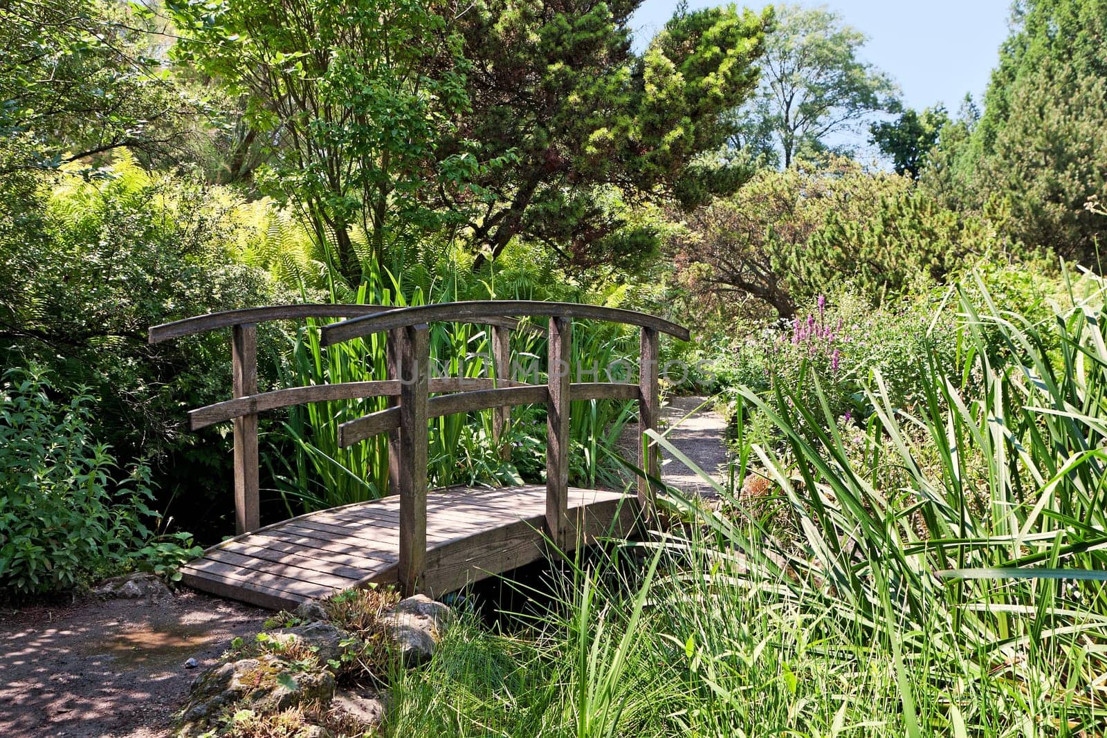 botanical garden,beautiful nature for hiking and walking in Vienna