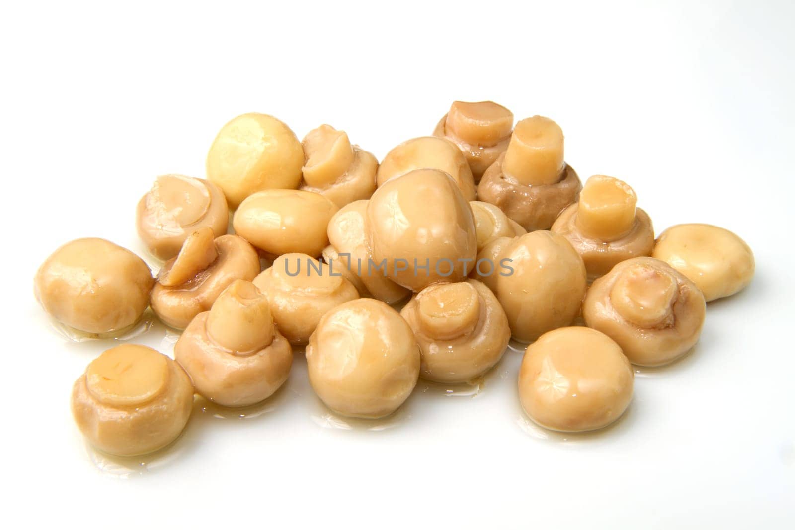 champignon isolated on white background