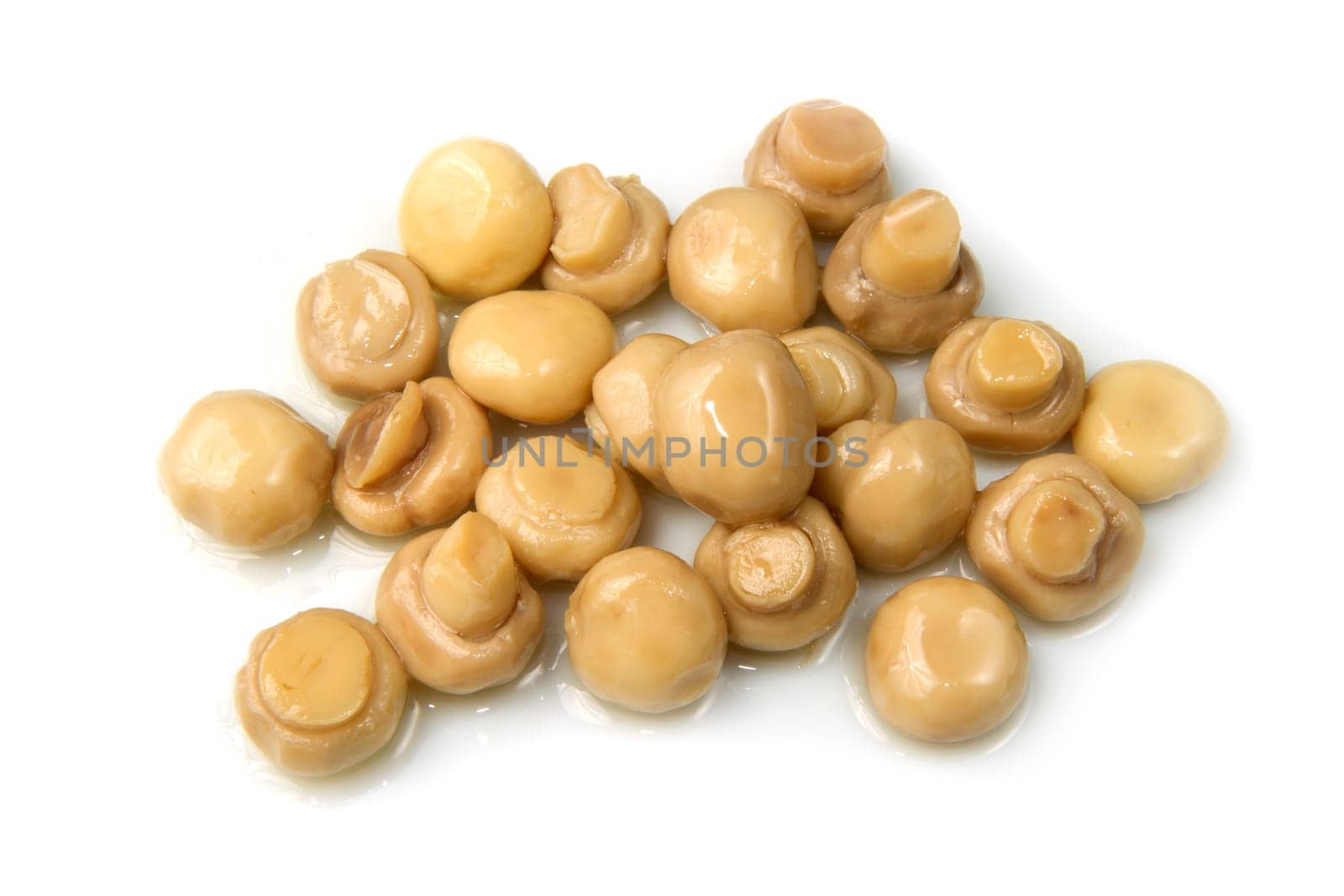 champignon isolated on white background