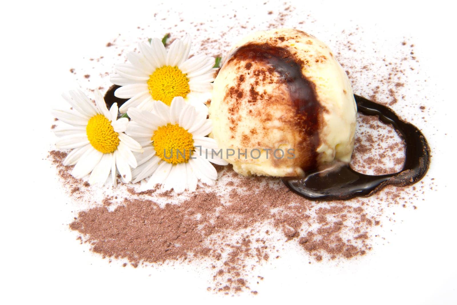 Ice cream with Chocolate decoration
