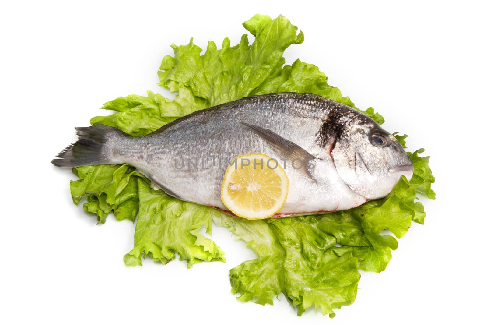 gilthead bream on fresh salad isolated on white background
