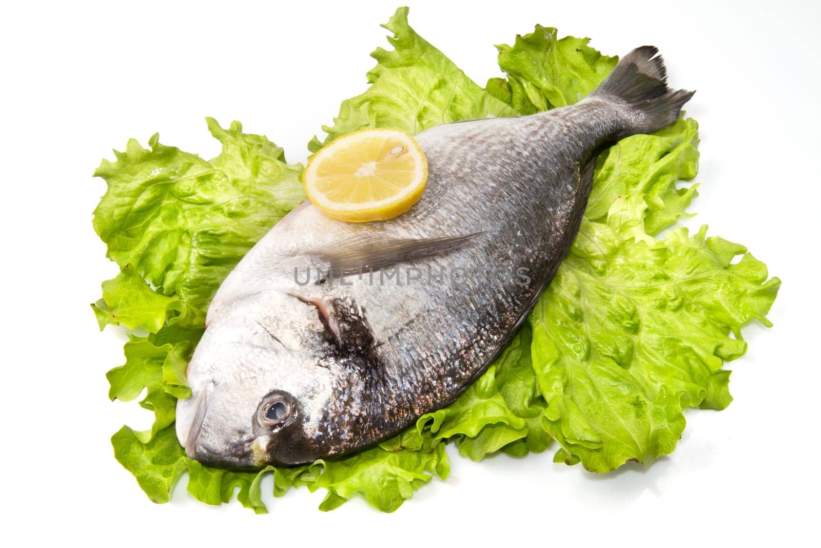 gilthead bream on fresh salad isolated on white background