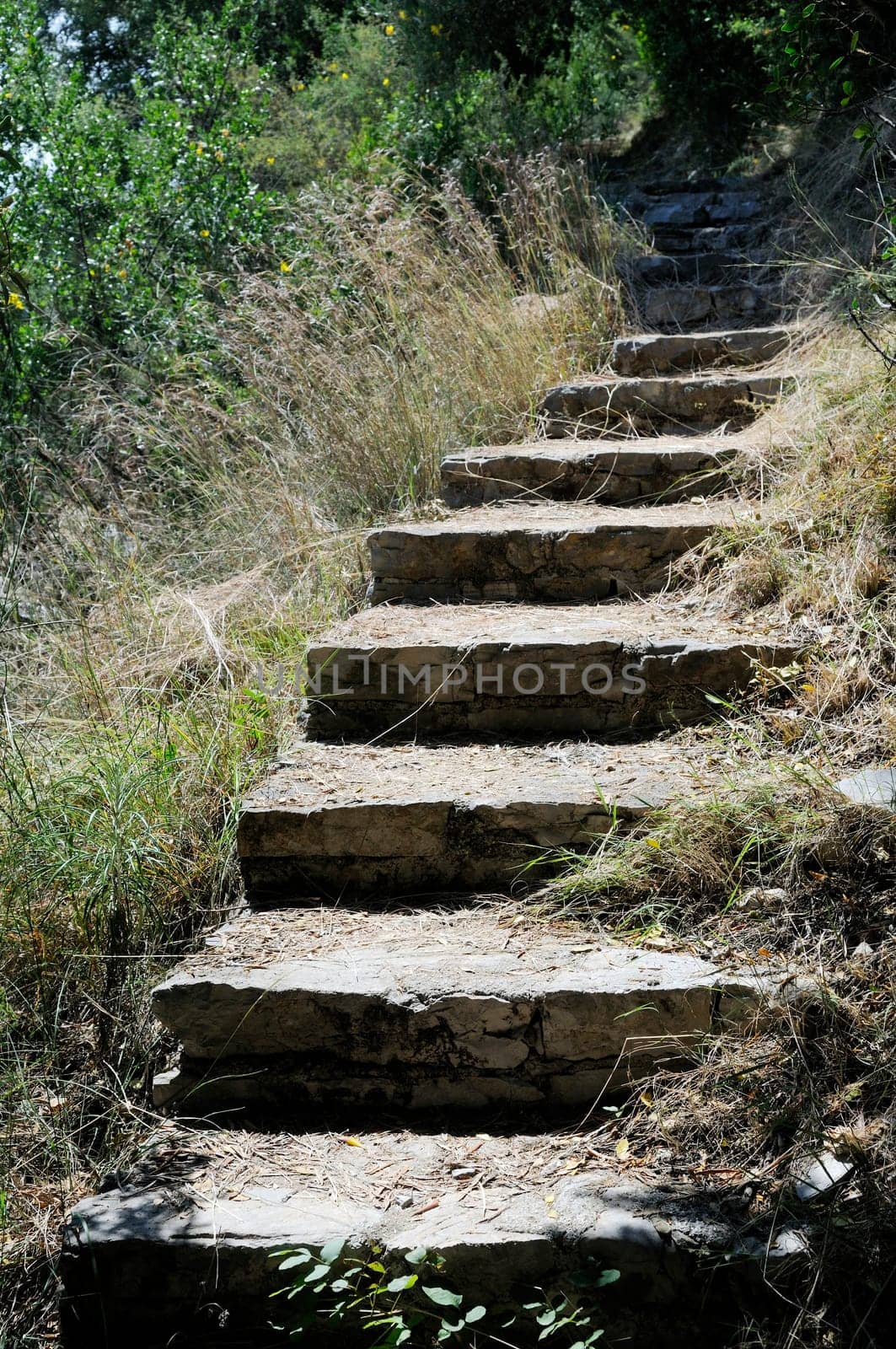 Hiking Trail and Stairs on Corfu Island