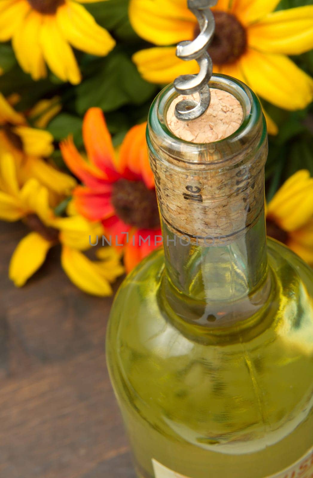 Opening a bottle of white  wine
