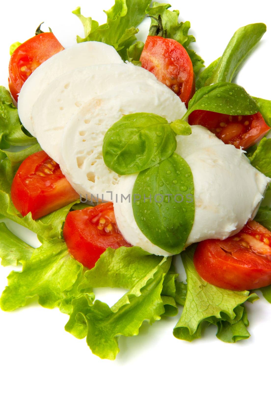 the fresh mozzarella with tomato and basil