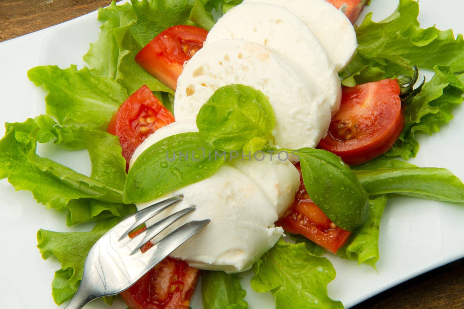 the fresh mozzarella with tomato and basil