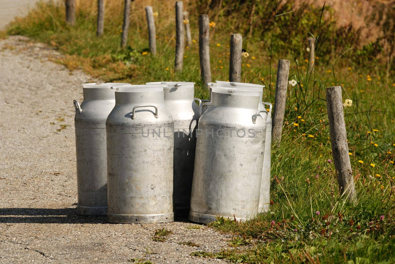 Milk cans ready for collection the evening, Savoie