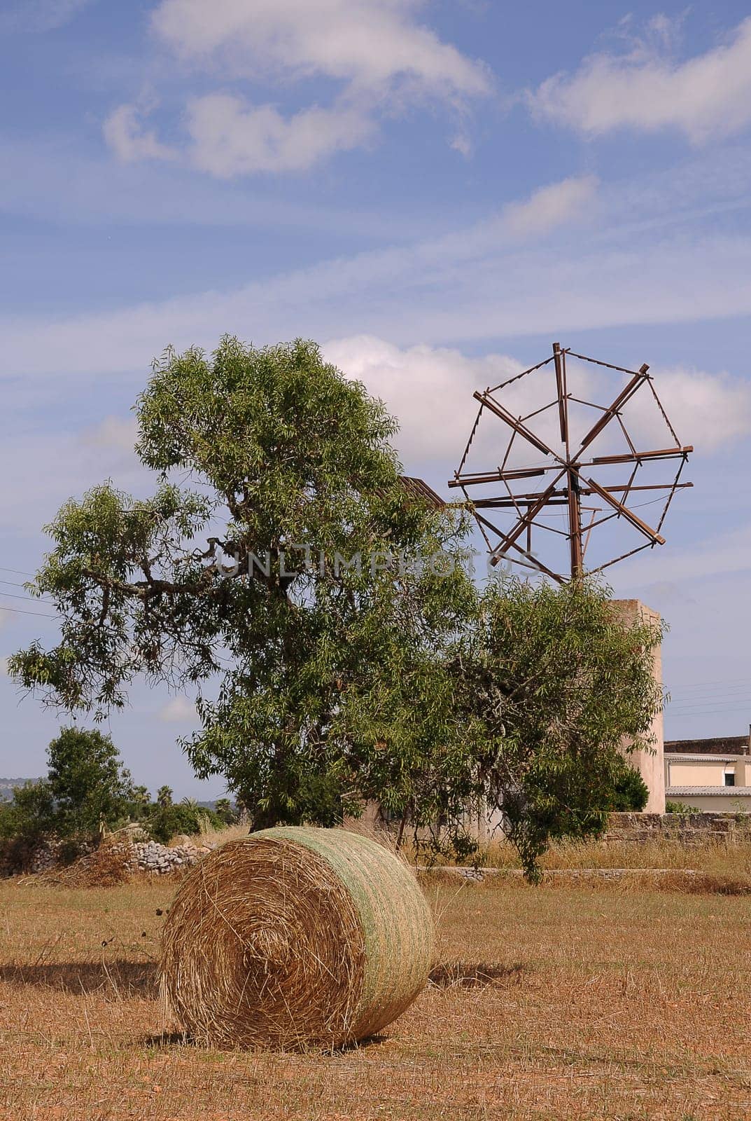 Mill in Mallorca