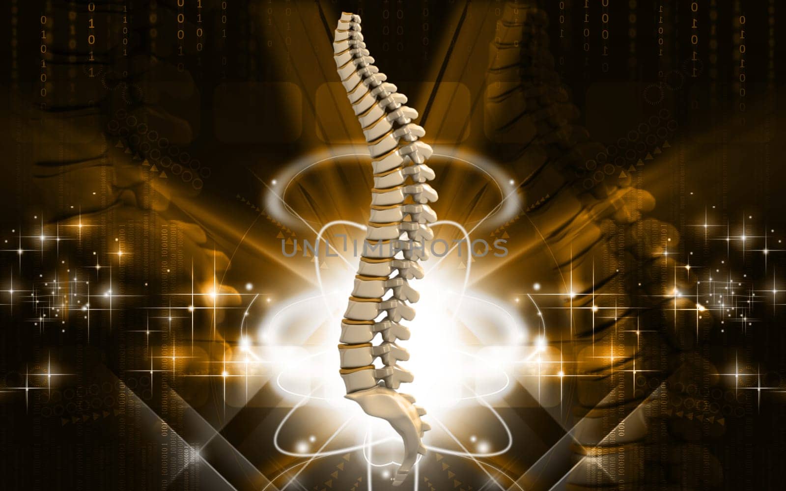 Digital illustration of back bone in colour background