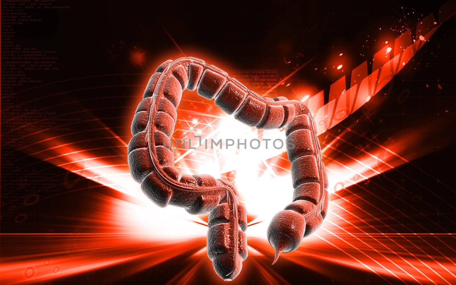 Digital illustration of large intestine in colour background
