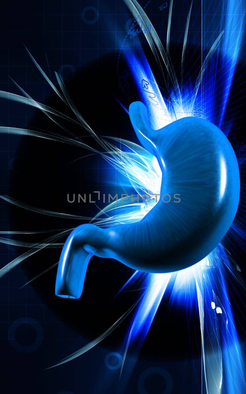 Digital illustration of stomach in colour background