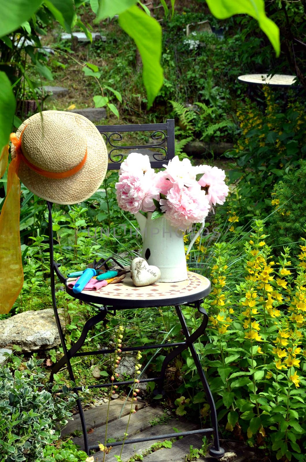 pink peonies in the garden